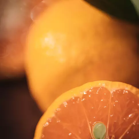Mandarine, 1Kg - Les Vergers de Boirie, agrumiculteur à Menton
